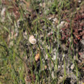 IMG_20260427_080337_252.jpg