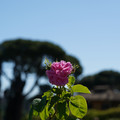 DSC02689.JPG