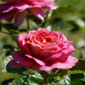 DSC02692.JPG