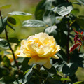 DSC02695.JPG