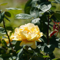 DSC02696.JPG