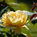 DSC02697.JPG
