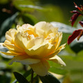 DSC02698.JPG
