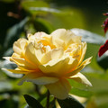 DSC02699.JPG