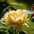 DSC02700.JPG
