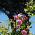 DSC02702.JPG