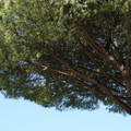 DSC02706.JPG