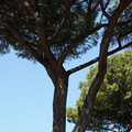 DSC02707.JPG