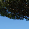 DSC02708.JPG