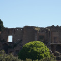 DSC02714.JPG