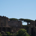 DSC02715.JPG