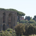 DSC02717.JPG