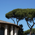 DSC02730.JPG