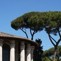 DSC02731.JPG