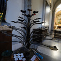 DSC02750.JPG