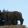 DSC02811.JPG