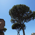 DSC02964.JPG