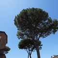 DSC02965.JPG