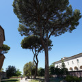 DSC02966.JPG
