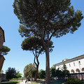 DSC02967.JPG