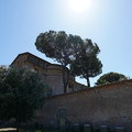 DSC02972.JPG