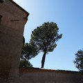 DSC02977.JPG