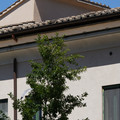 DSC02986.JPG
