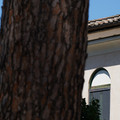DSC02987.JPG