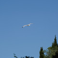 DSC02988.JPG