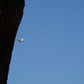 DSC02989.JPG