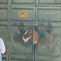 DSC03032.JPG