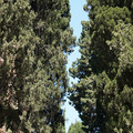 DSC03049.JPG