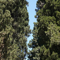 DSC03050.JPG