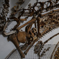 DSC03122.JPG
