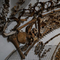 DSC03123.JPG