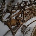 DSC03124.JPG