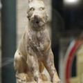 DSC03390.JPG
