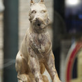 DSC03391.JPG