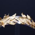 DSC03497.JPG
