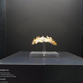 DSC03510.JPG