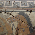 DSC03528.JPG