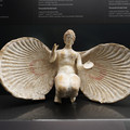 DSC03556.JPG