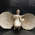 DSC03558.JPG
