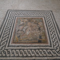 DSC03594.JPG