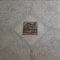 DSC03650.JPG