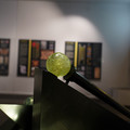 DSC03663.JPG