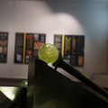 DSC03664.JPG