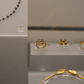 DSC03703.JPG
