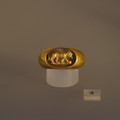 DSC03713.JPG