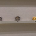 DSC03745.JPG